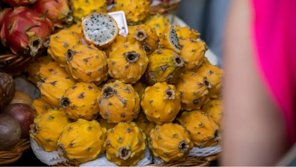 Potret buah naga kuning tertata rapi mengerucut