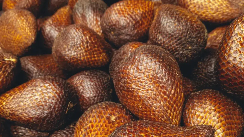 Sejumlah buah salak ditata tidak beraturan