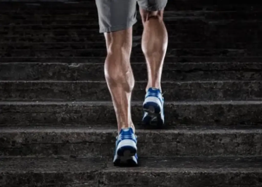 Jangan Lewatkan Leg Day! Ini 3 Manfaat Besar Melatih Otot Kaki bagi Kesehatan Tubuh