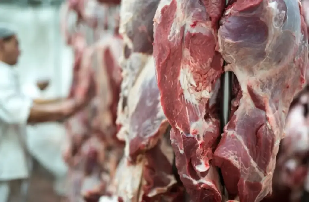 gambar daging kurban yang sudang di potong dan akan dibagikan