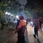 Pohon Tumbang di Depan Unpad Jatinangor, Lima Pengendara Motor Jadi Korban
