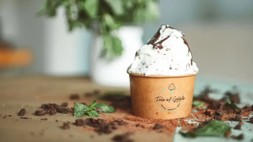 Potret es krim mint chocolate