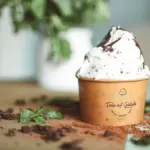 Potret es krim mint chocolate