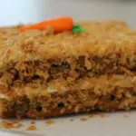 Potret sepotong carrot cake