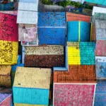 gambar warna rumah