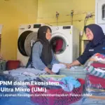 BRILink Agen