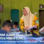 Ultra Mikro