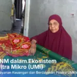 UMi