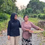 Fipi Novita Sari sebagai Account Officer (AO) PNM Mekaar
