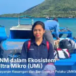 AO PNM