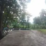 Situ Ciereng Sumedang