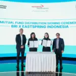 dok bri